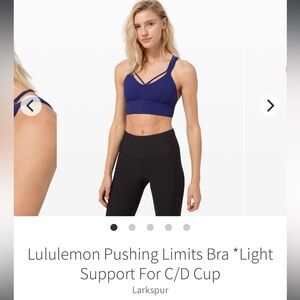 Lululemon Pushing Limits Bra in Larkspur, Size 10